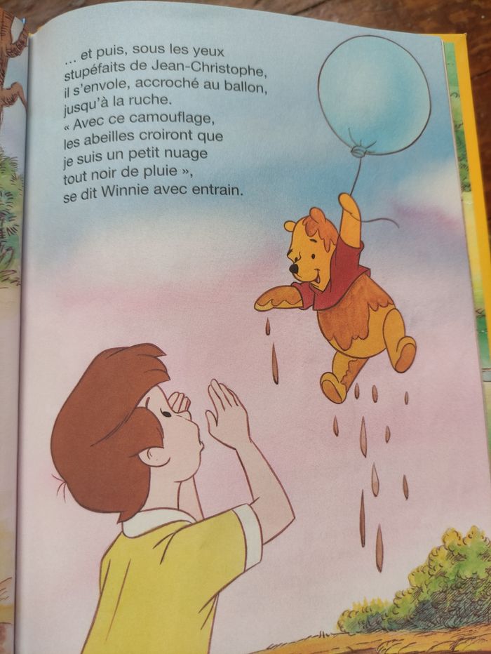 Livre Disney - photo numéro 2