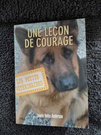Les petits vétérinaires tome 7 Une leçon de courage