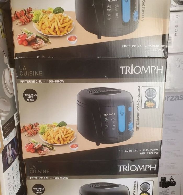 Friteuse TRIOMPH 2,5L.