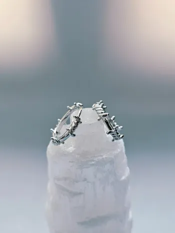 Paire Boucles d’oreilles acier inoxydable anneaux épineux