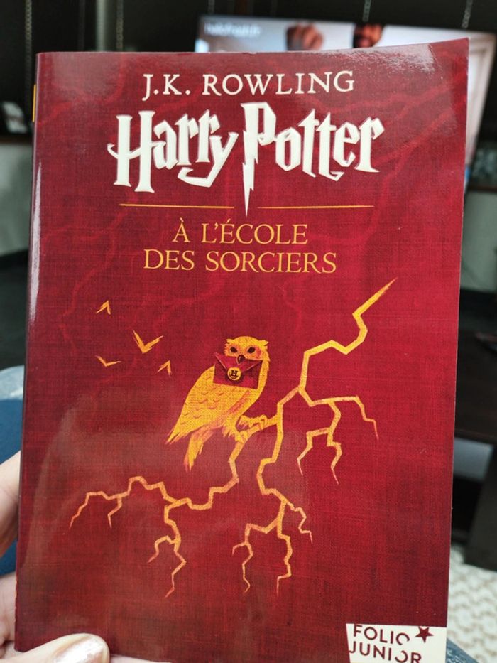 Livre Harry Potter a l école des sorciers - photo numéro 2