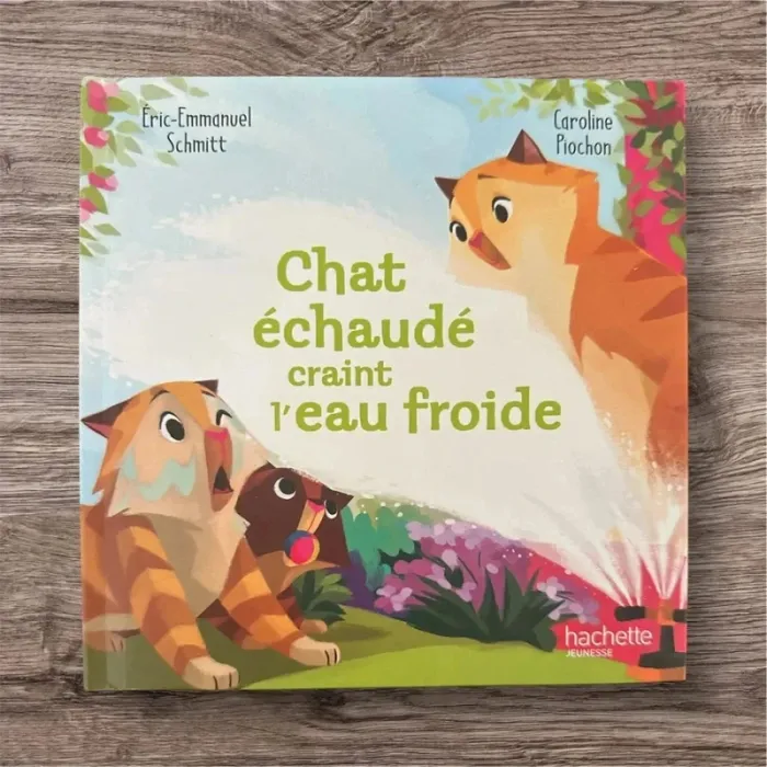 Chat échaudé craint l’eau froide livre McDo - photo numéro 2