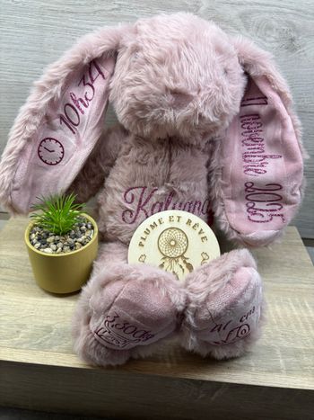 Doudou lapin de naissance 