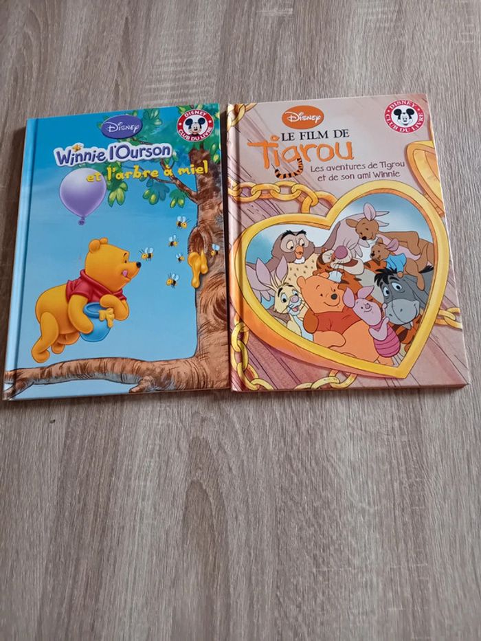Lot de 2 livres Disney