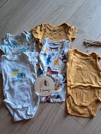 Lot 5 bodies 3 mois jungle