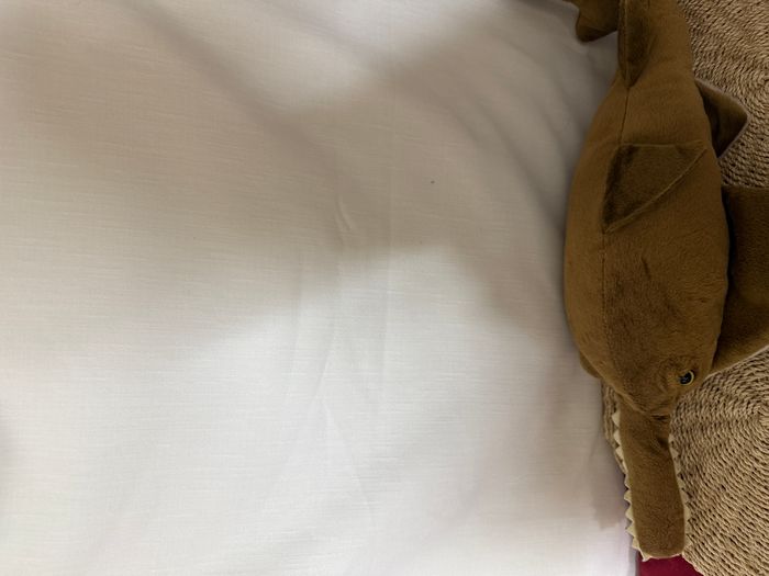 Peluche poisson scie - wild republic - photo numéro 4