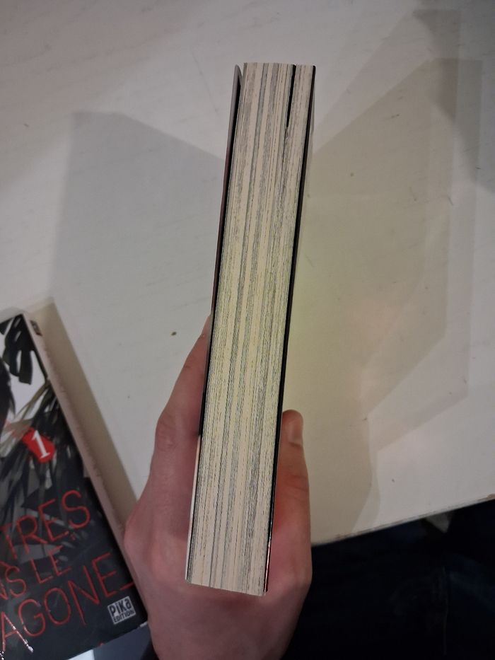 Tome 1 Attaque des Titans édition anniversaire - photo numéro 3