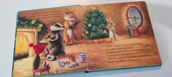 Livre Petit Hérisson - photo numéro 4
