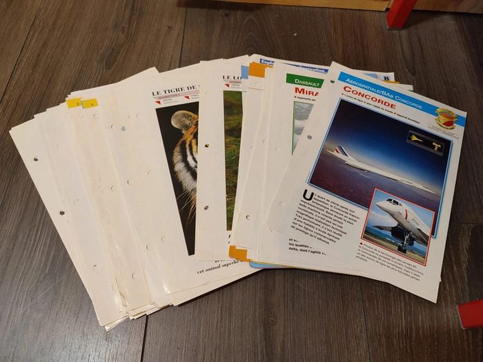 Lot fiche animaux avions santé