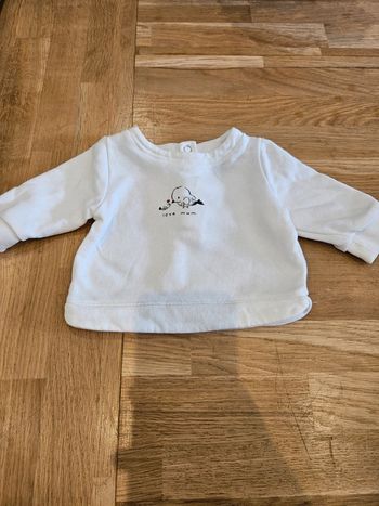 Pull 1 mois