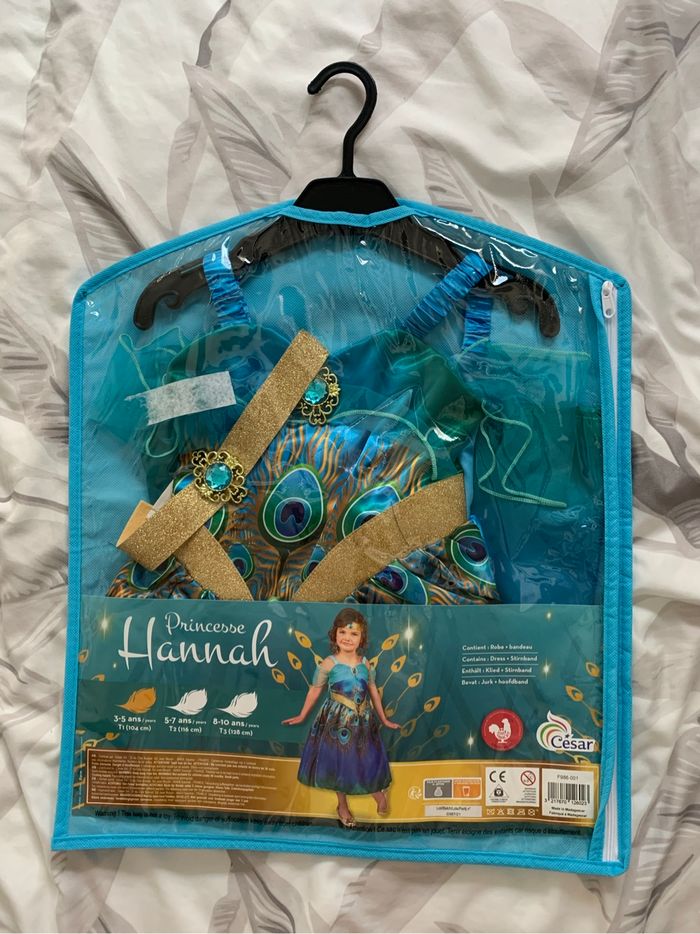 Déguisement princesse Hannah - photo numéro 2