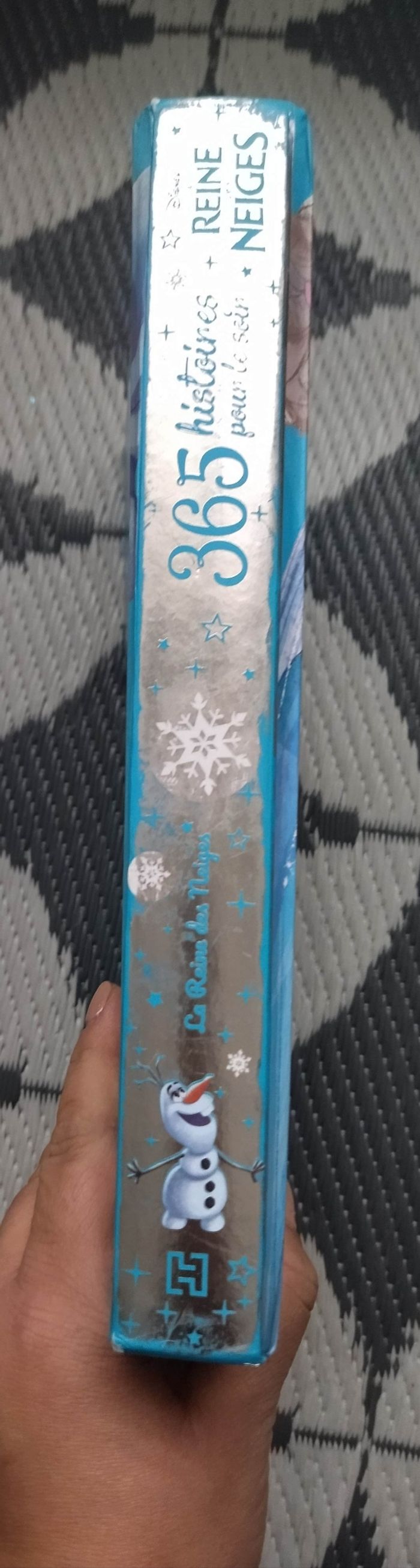 Livres reine des neiges - photo numéro 6