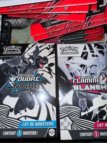 Bundle ev10.5 flamme blanche foudre noire