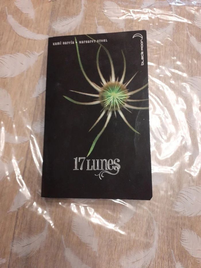 16/17/18 et 19 lunes - photo numéro 4