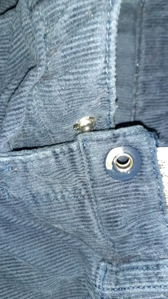 Velours - photo numéro 4