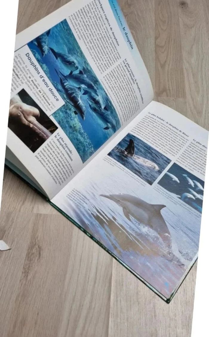 Livre Le dauphin - photo numéro 4