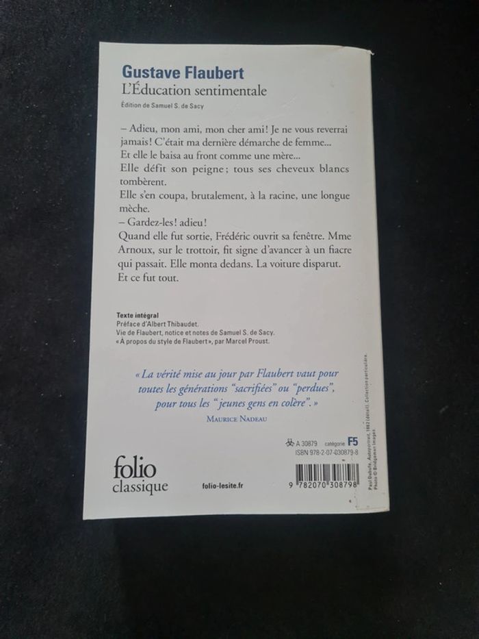 L'éducation sentimentale - Gustave faubert - littérature française - photo numéro 2