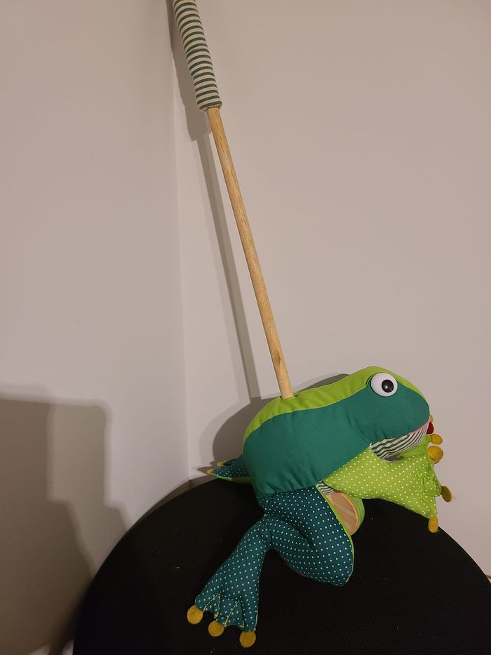 grenouille - photo numéro 4