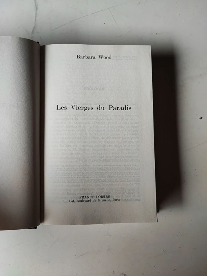 Livre les vierges du paradis - photo numéro 3