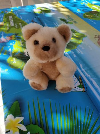 Peluche ours
