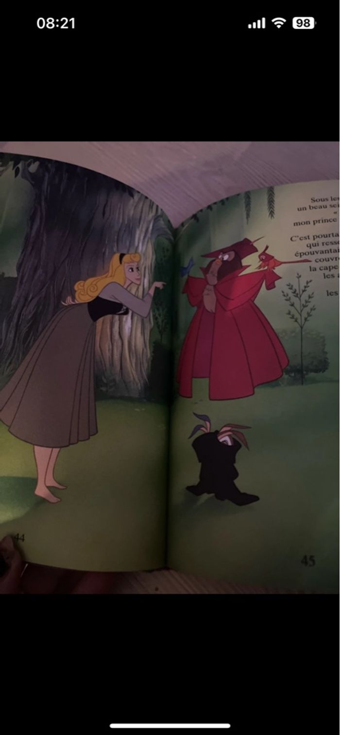 La belle au bois dormant - photo numéro 3