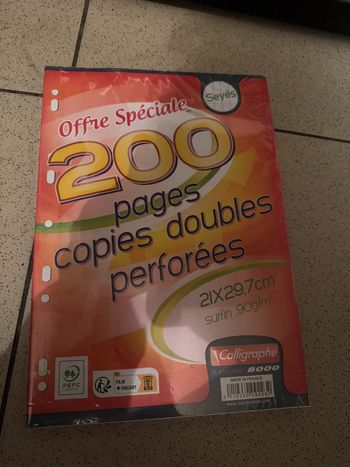 Lot de 200 feuilles doubles neuves