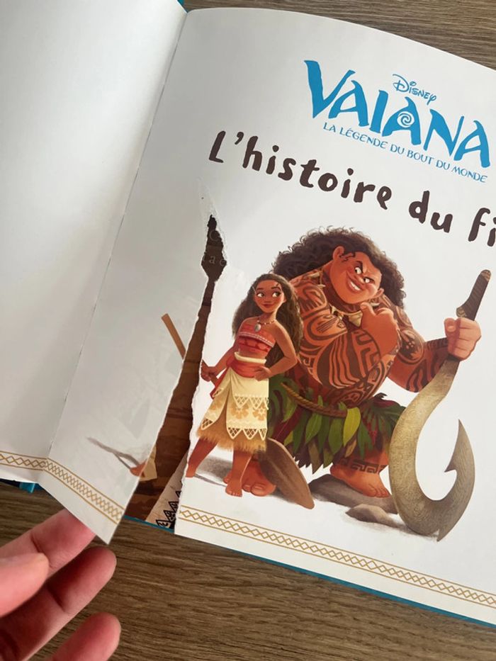 Livre vaiana - photo numéro 3
