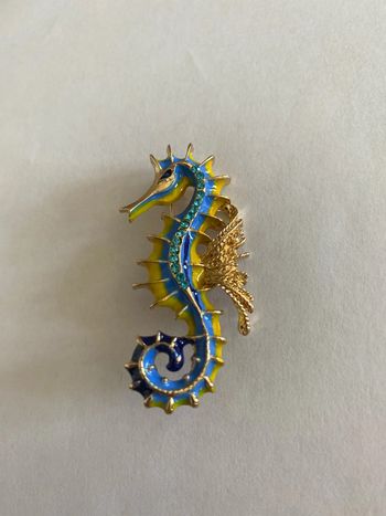 Broche hippocampe