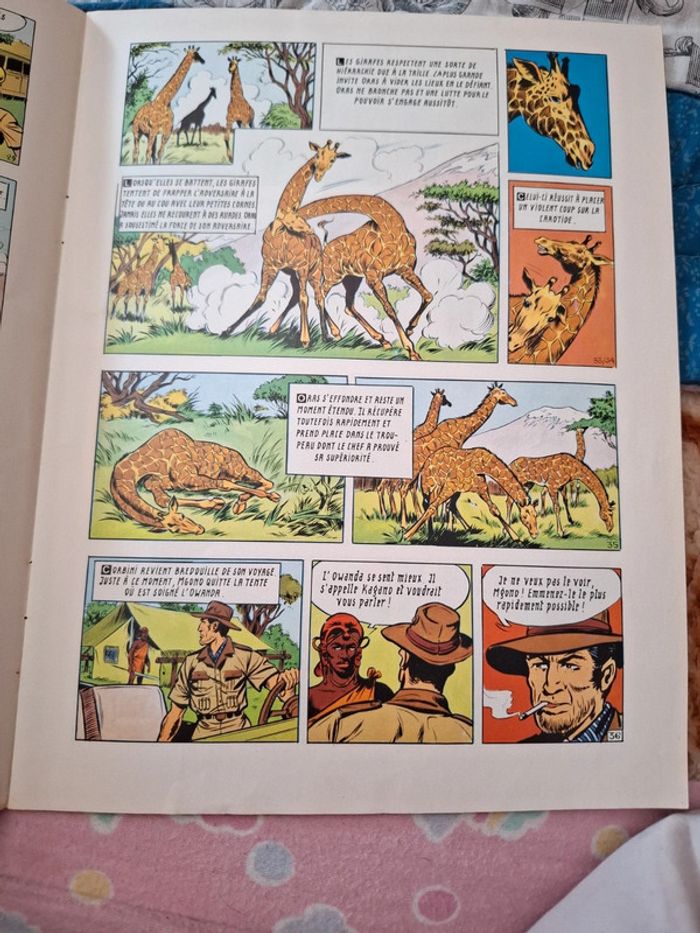 Safari. La girafe blanche - photo numéro 6