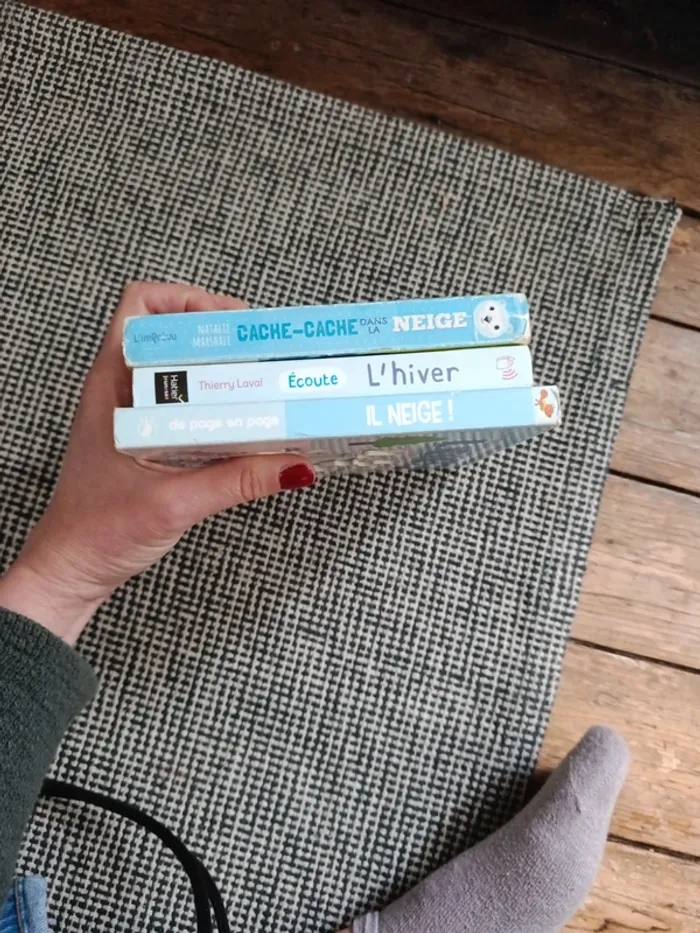 3 livres sur l'hiver - photo numéro 7