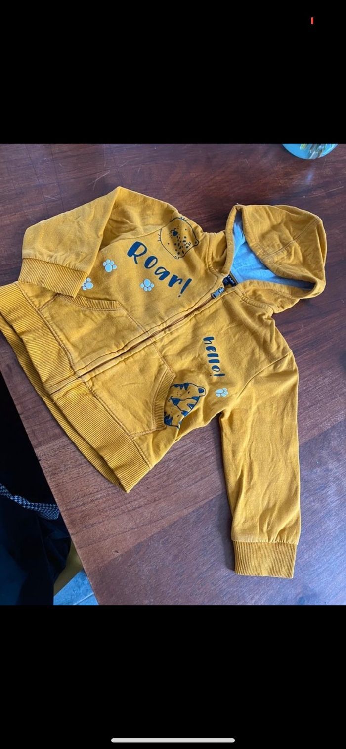 Veste à capuche - photo numéro 2