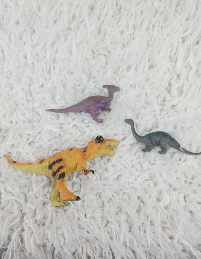 Lot de 19 figurines dinosaures marque Oxybul 🎅 - photo numéro 10