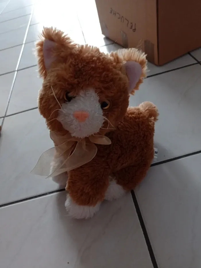 Peluche chat