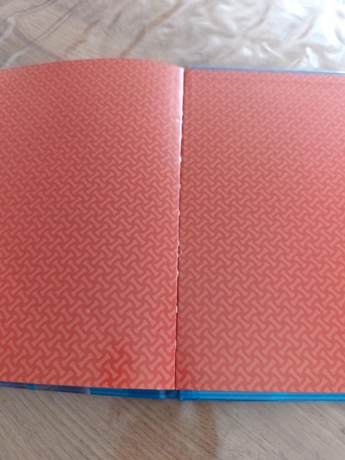 Livre paw patrol - photo numéro 5