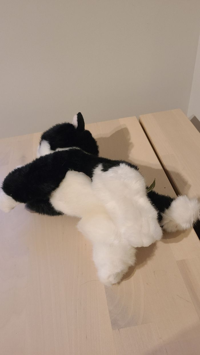 Doudou chat - photo numéro 4