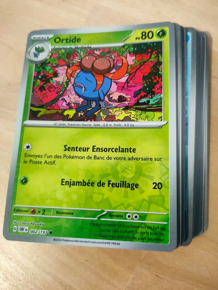 Reverses Flammes Obsidiennes (OBF)