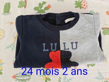 Sweat-shirt tbe 2 ans Lulu castagnette 