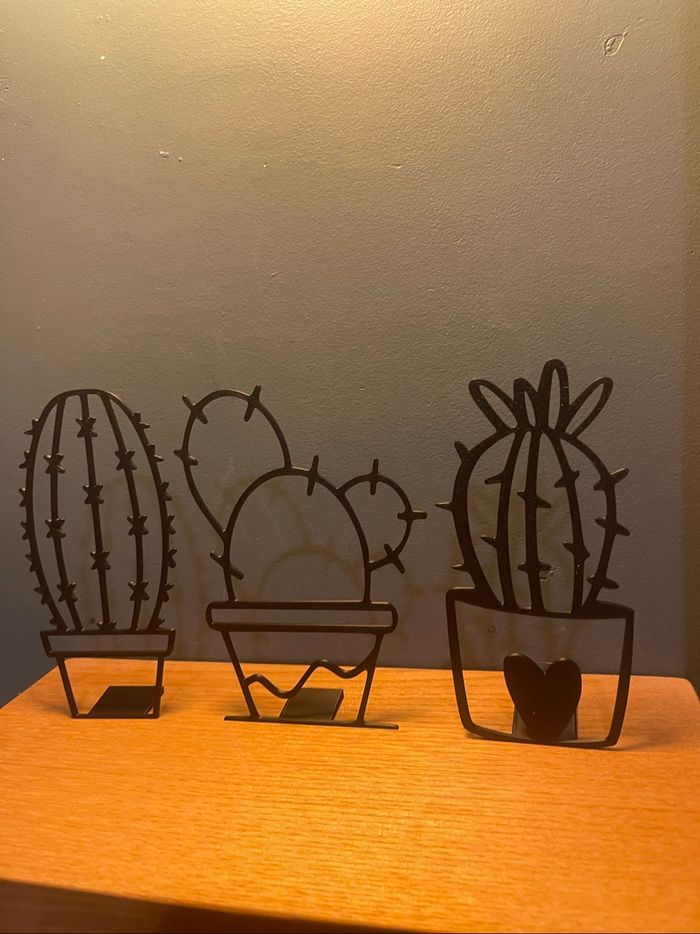 Décoration cactus - photo numéro 3