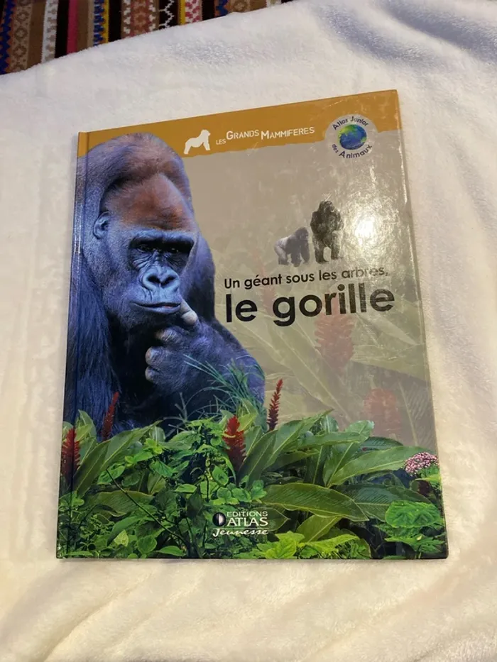 Un géant sous les arbres, le gorille atlas junior