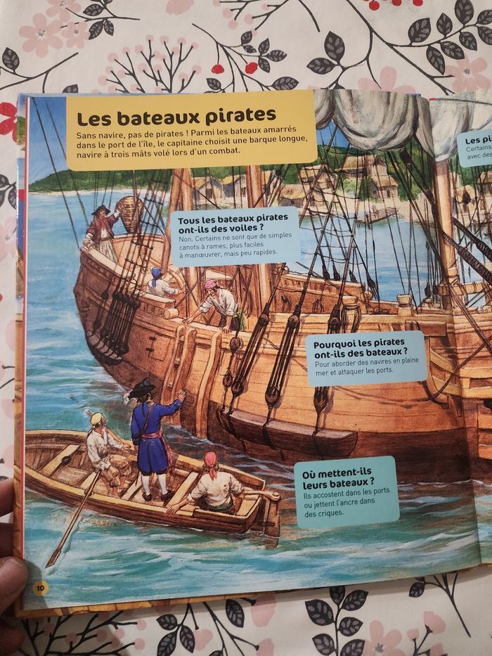 Livre pirate - photo numéro 3