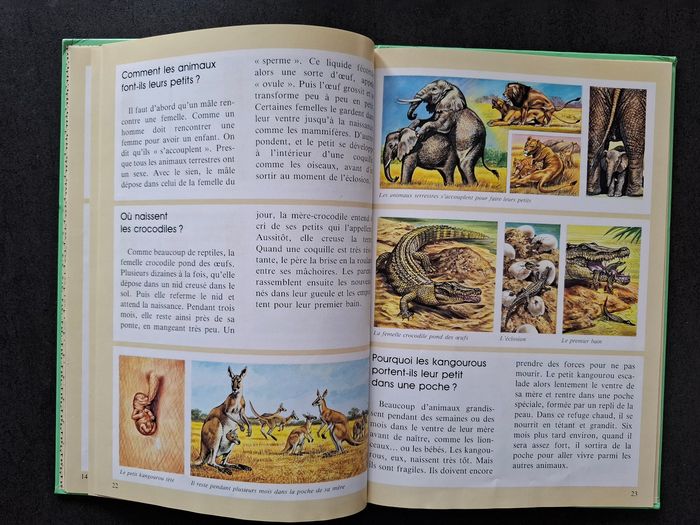 Lot de 2 livres questions/réponses sur les animaux en bon état - photo numéro 8