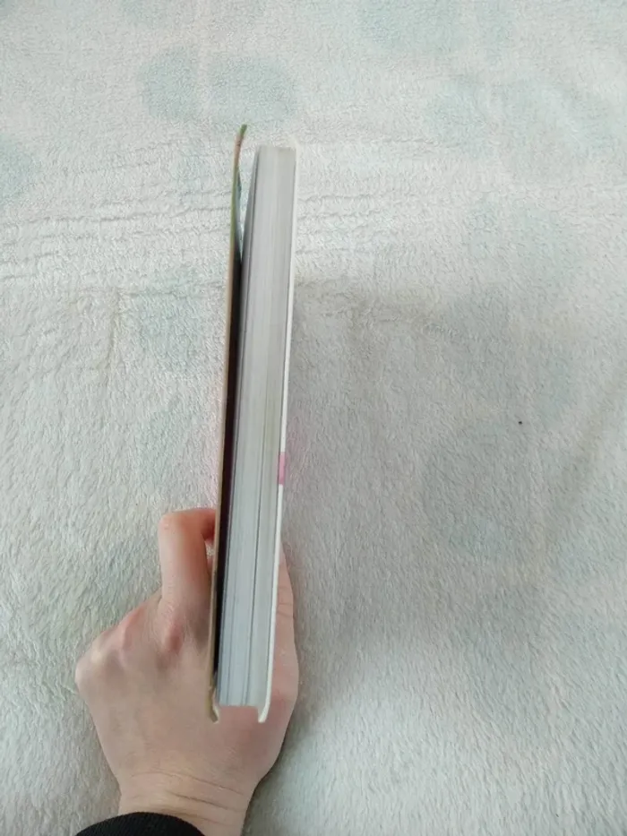 Alice et le cheval volé - photo numéro 3