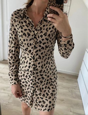 Robe Zara léopard