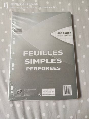400 feuilles simples perforées grand carreaux 21x29.7cm
