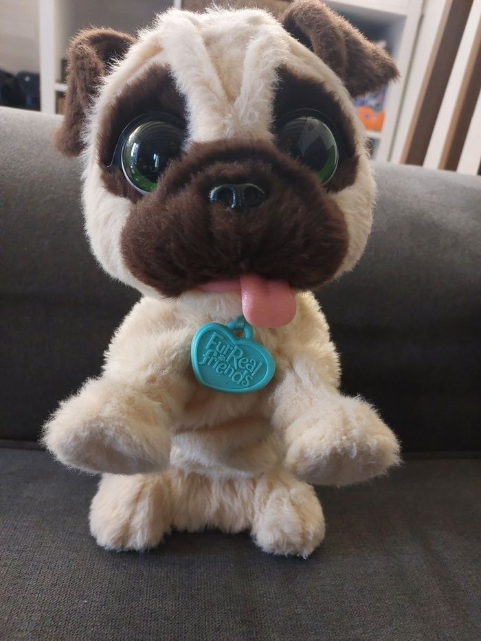 Chien interactif - photo numéro 2