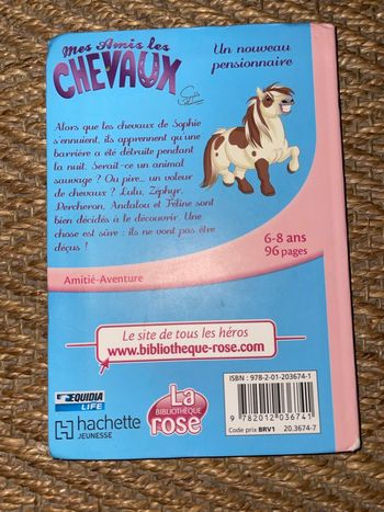 Mes amis les chevaux Un nouveau pensionnaire 