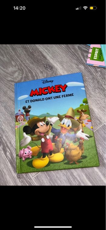 livre mickey