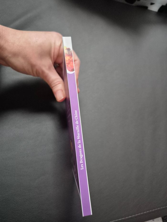 Livre les dragons de la muraille de Chine mcdo - photo numéro 4