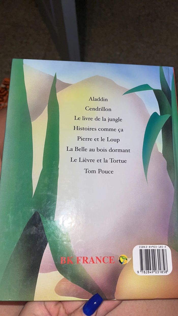 Livre tom pouce - photo numéro 2