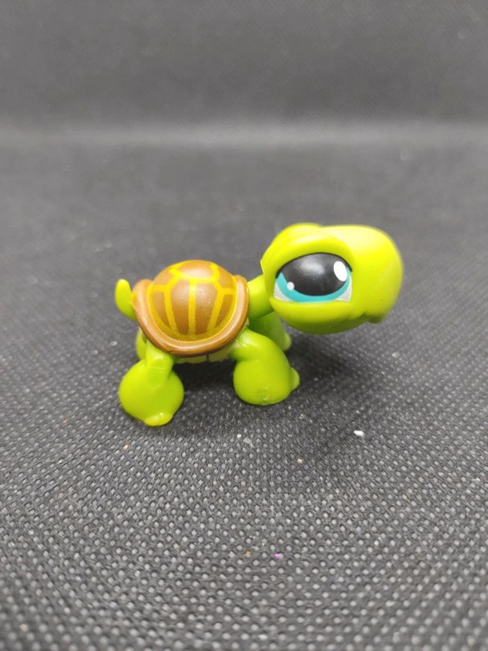 Littlest Petshop LPS tortue turtle 230 hasbro #geektradelpstortue - photo numéro 3